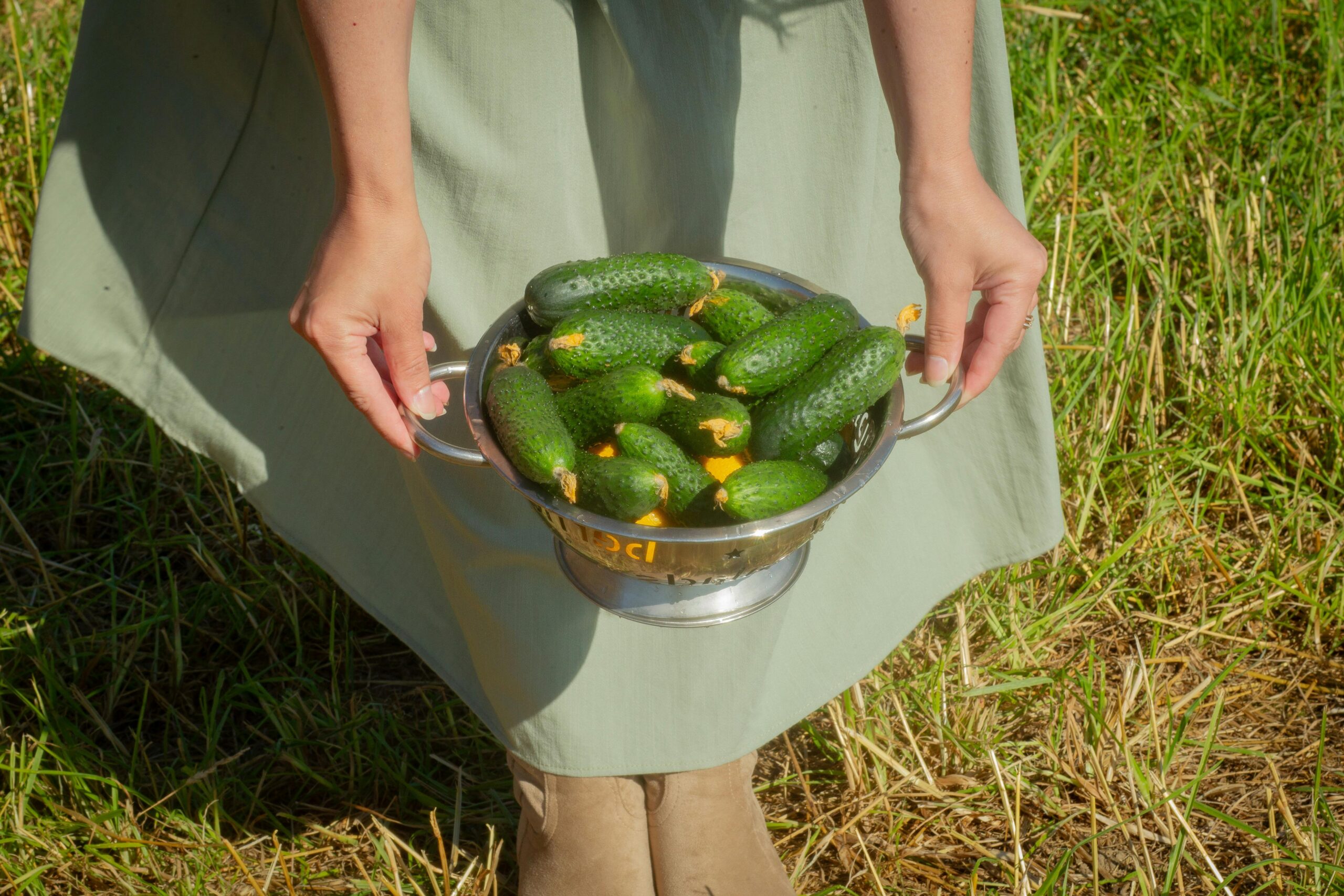 Frau im grÃ¼nen Kleid hÃ¤lt ein Sieb mit frischen Gurken auf einem sonnigen Feld.